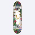 DGK Vacation Complete Skateboard - Multi