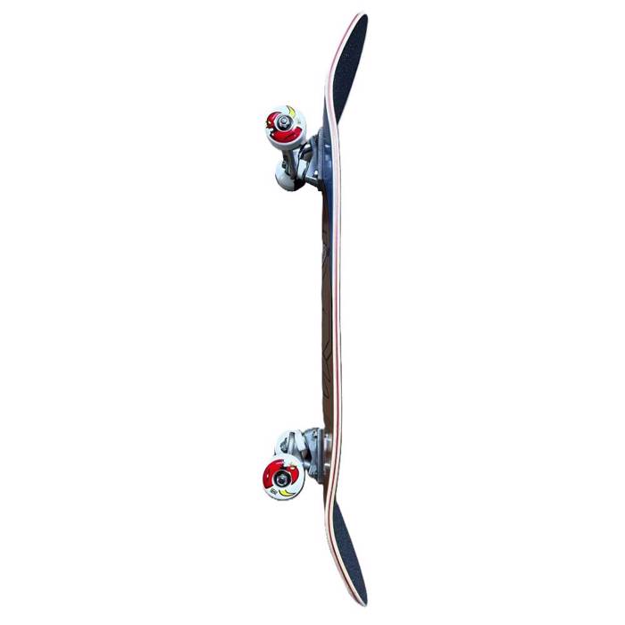 TOY MACHINE Complete Troxosanida - Ble/Kafe