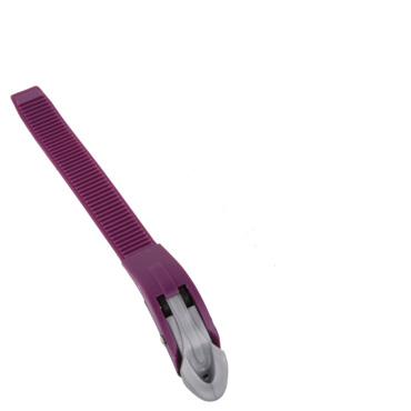 ATHLOPAIDIA Buckle, 13,5cm - Violet/Grey