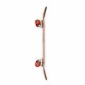 SPEED DEMONS Hot Shot Complete Skateboard 7.5''